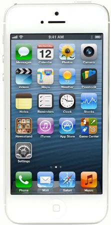 Смартфон Apple iPhone 5 32Gb White & Silver - Тайга