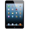 Apple iPad mini 64Gb Wi-Fi черный - Тайга