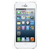 Apple iPhone 5 16Gb white - Тайга